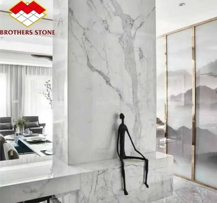 Οικιακή διακόσμηση Σύγχρονη κοιλιά ψαριών Λευκές μαρμάρινες πέτριες πλάκες για καθιστικό και πλακάκια δαπέδου