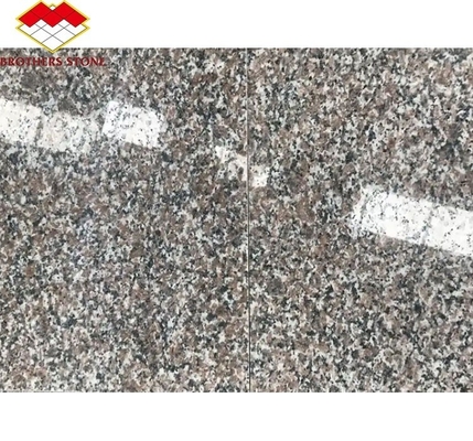 Σύγχρονοι προμηθευτές G664 Γρανίτες 60x60 Porrno Γρανίτες για το πάρκο γραφικά σχέδια