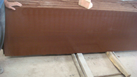 Countertop κουζινών γρανίτη κόκκινου χρώματος τραχιά πλάκα 2,73 g/cm3 κεραμιδιών 50x50 πατωμάτων